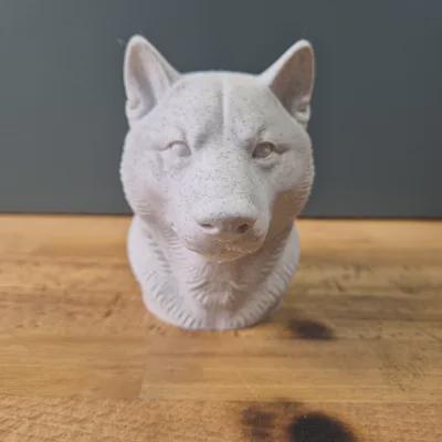 Shiba Inu Büste – Realistic Shiba Inu Dog Bust | Handbemalt & 3D-Printed – Hochdetaillierte Skulptur Fehn-factory.de