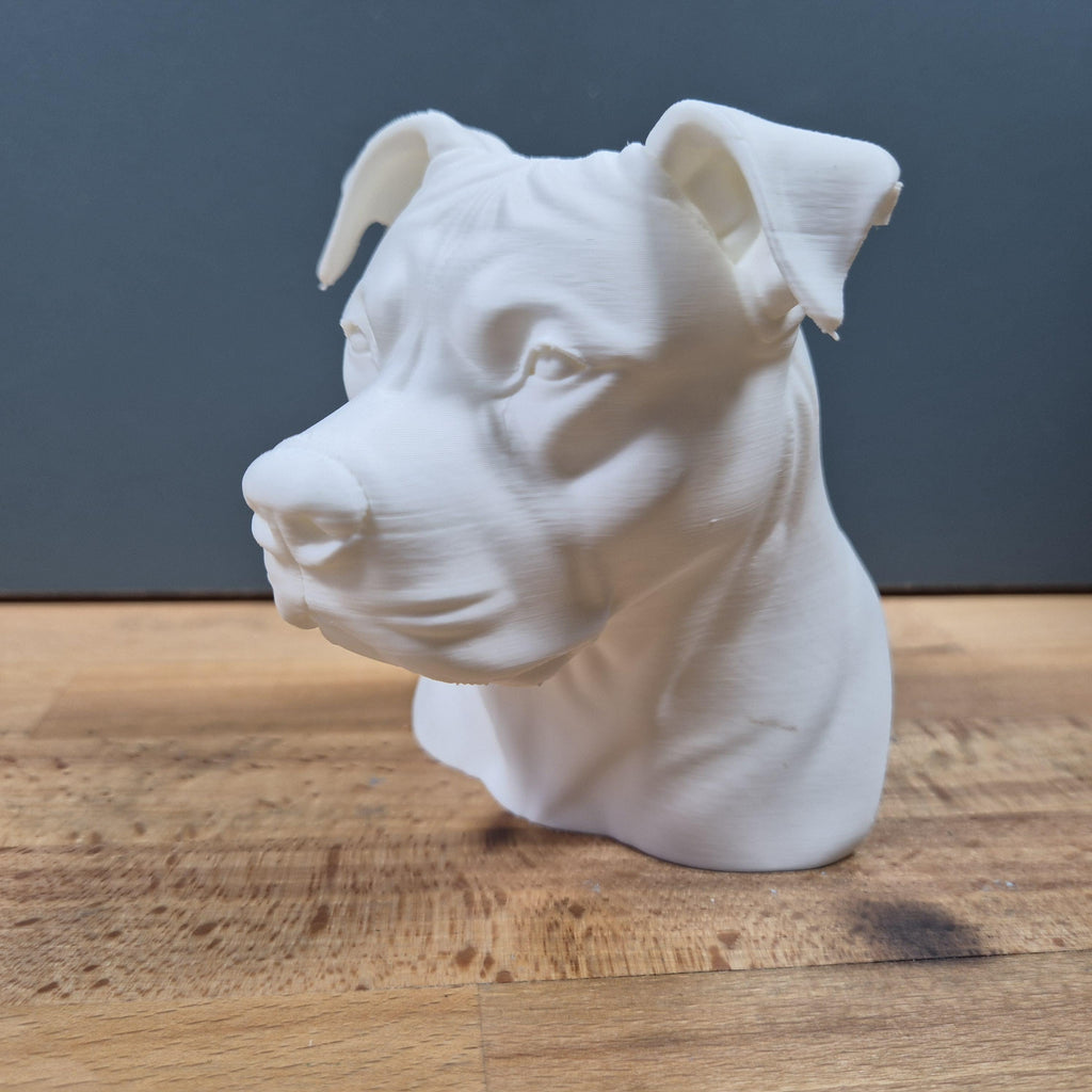Realistic Pitbull Bust with Natural Ears / Realistische Pitbull Büste Fehn-factory.de