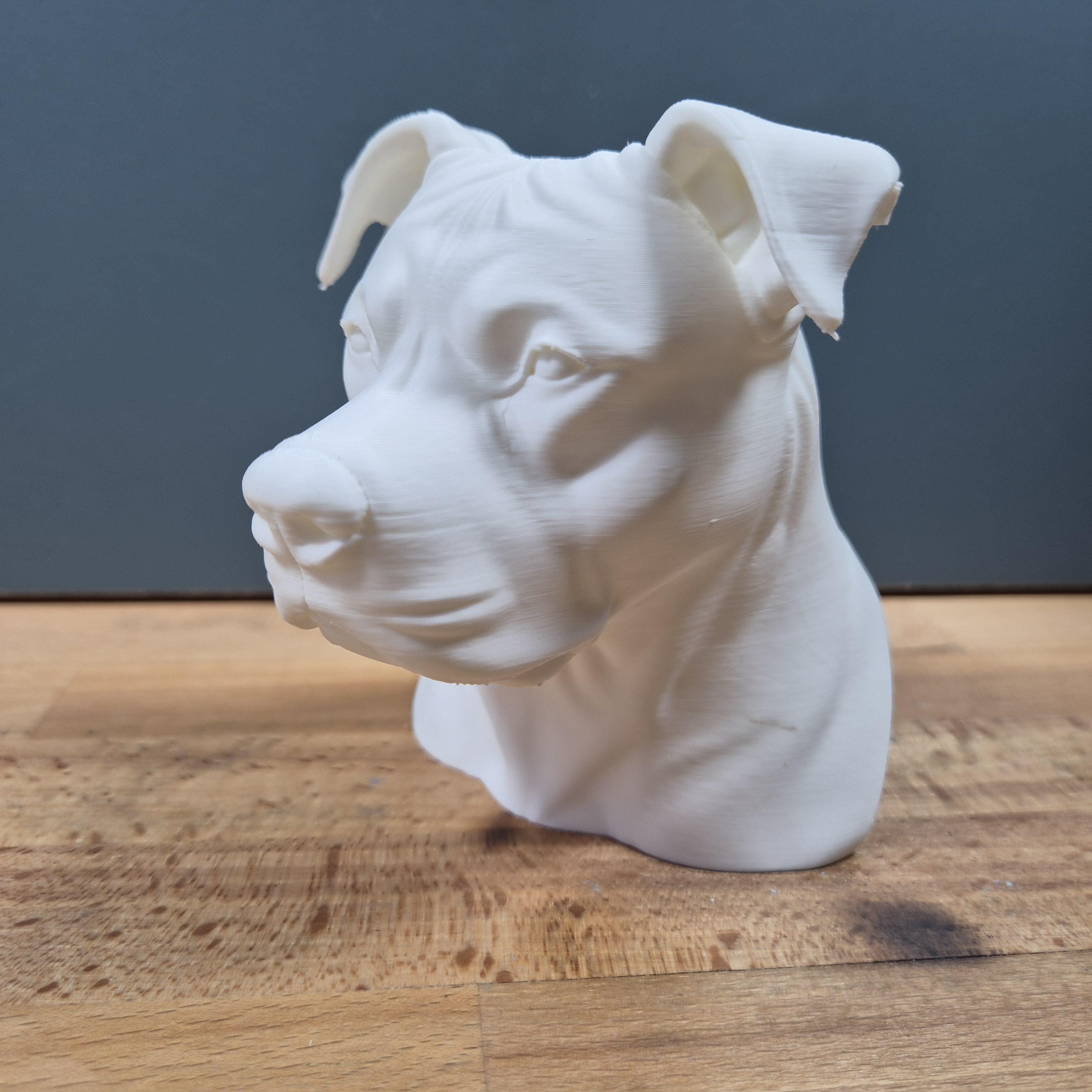 Realistic Pitbull Bust with Natural Ears / Realistische Pitbull Büste Fehn-factory.de