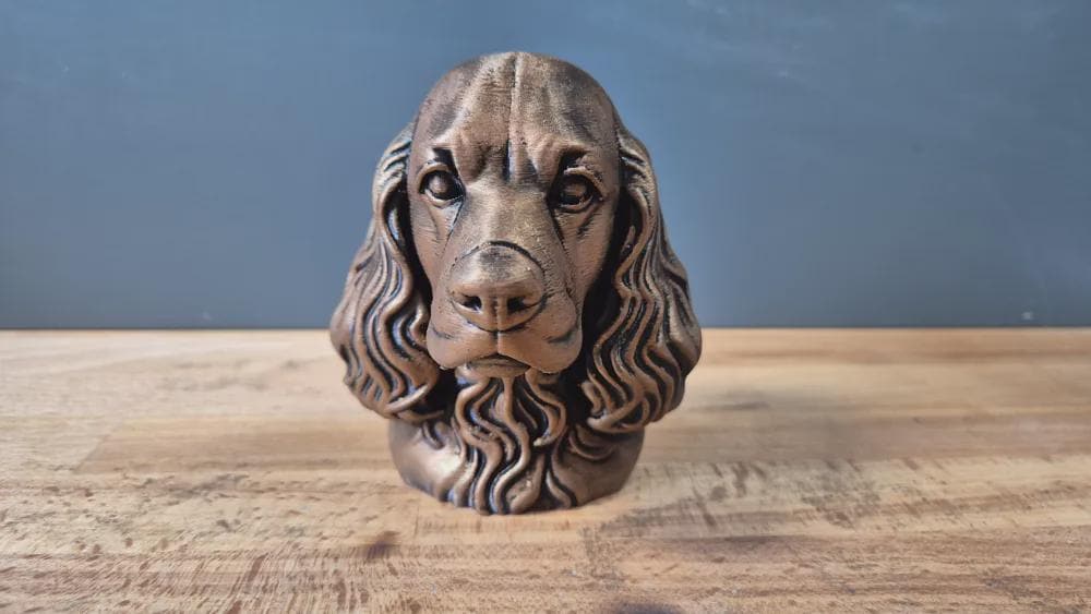American Cocker Spaniel Büste / Realistic American Cocker Spaniel Bust - Handbemalt & Detailliert