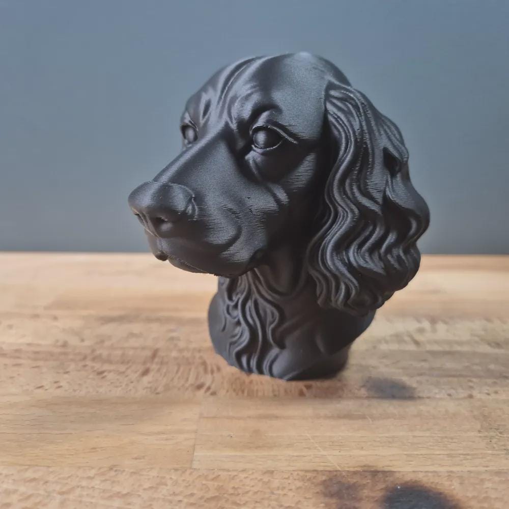 Sprocker Spaniel Büste / Realistic Sprocker Spaniel Bust - Handbemalt & Detailliert