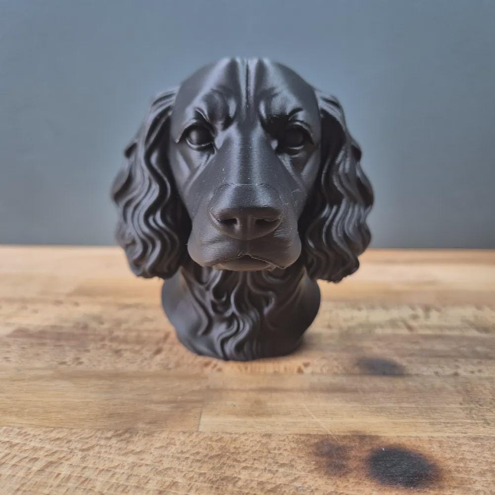 Sprocker Spaniel Büste / Realistic Sprocker Spaniel Bust - Handbemalt & Detailliert