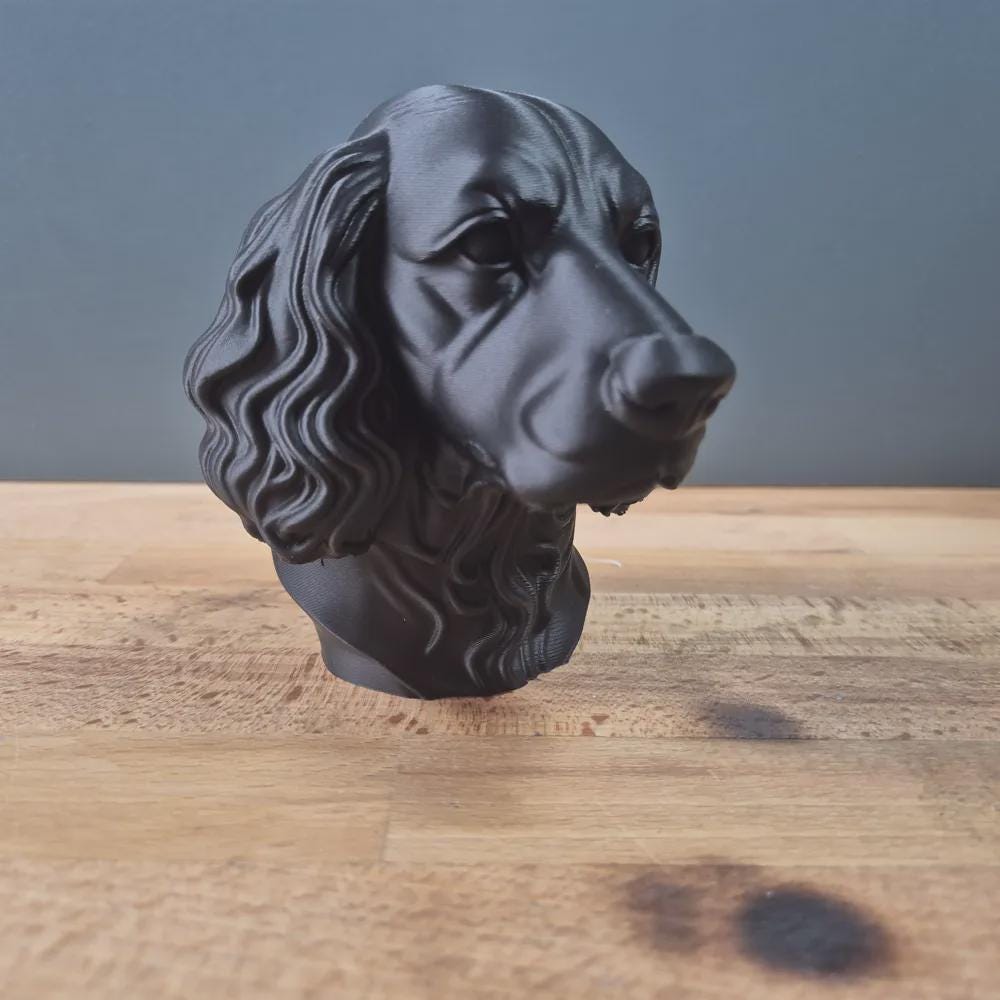 Sprocker Spaniel Büste / Realistic Sprocker Spaniel Bust - Handbemalt & Detailliert
