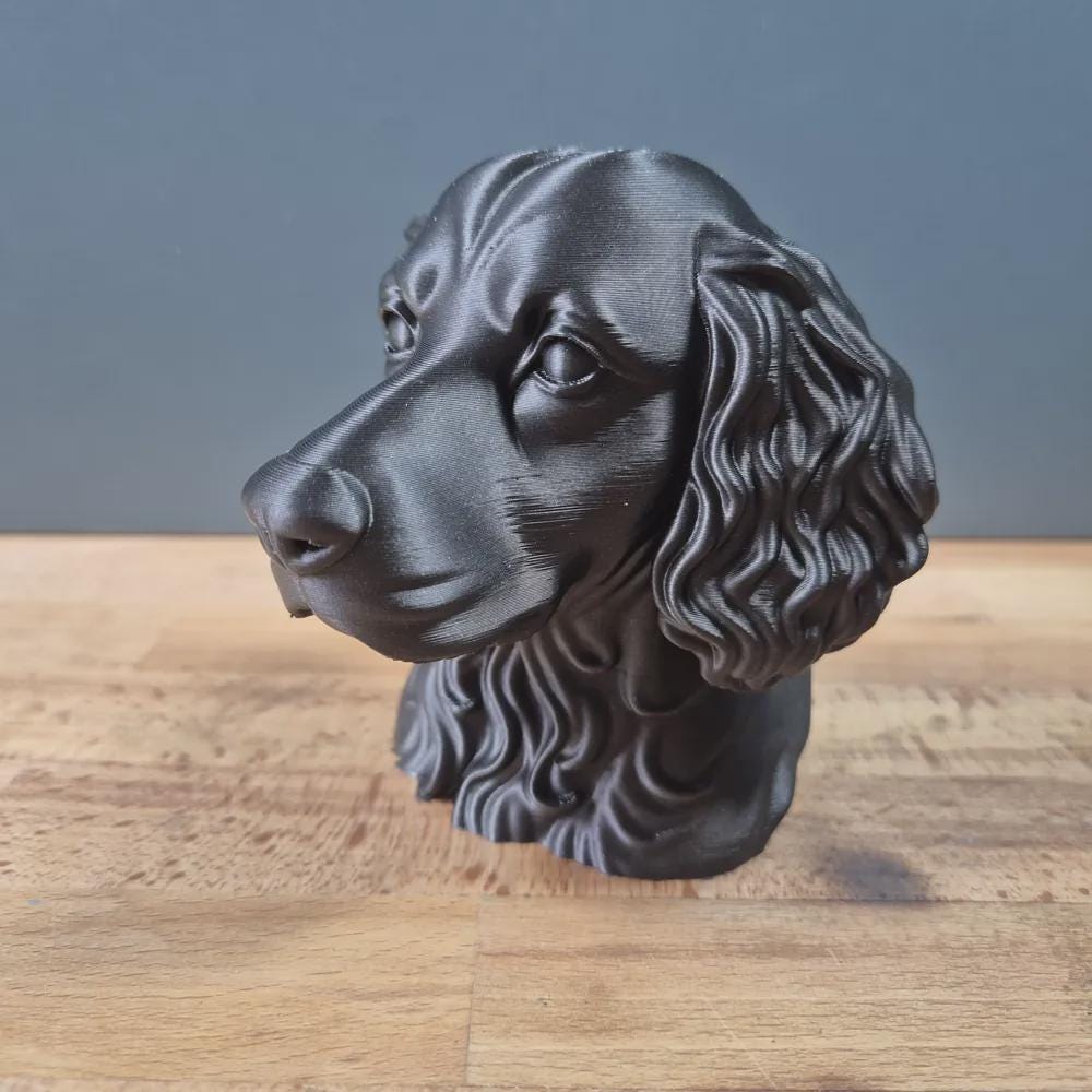 Boykin Spaniel Büste / Realistic Boykin Spaniel Bust - Handbemalt & Detailliert