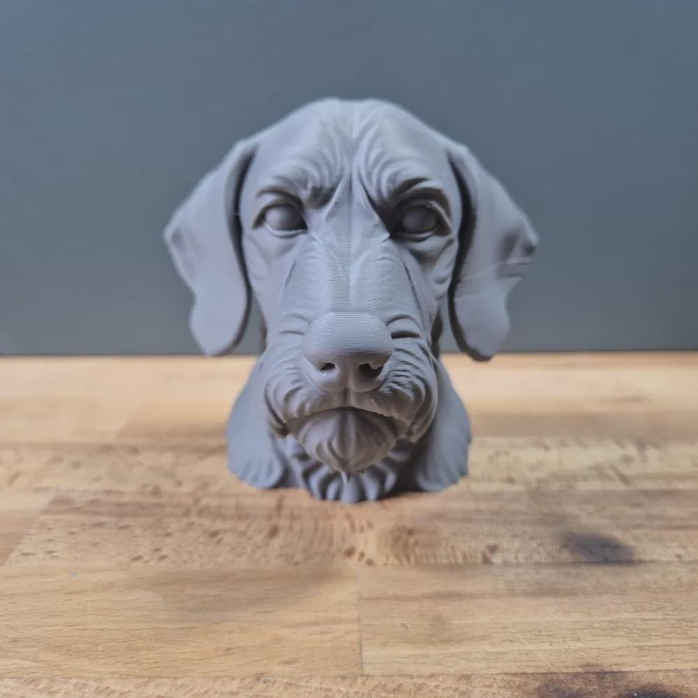 Drahthaar Vizsla Büste / Realistic Wirehaired Vizsla Bust - Handbemalt & Detailliert