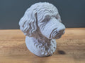 Portugiesischer Wasserhund Büste / Realistic Portuguese Water Dog Bust - Handbemalt & Detailliert