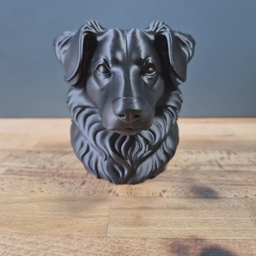 Miniature American Shepherd Büste  Realistic Mini Aussie Bust - Handbemalt & Detailliert