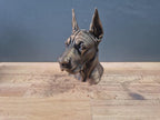 Deutsche-Dogge-Büste (kupierte Ohren) / Realistic Great Dane Bust – Handbemalt & Detailliert