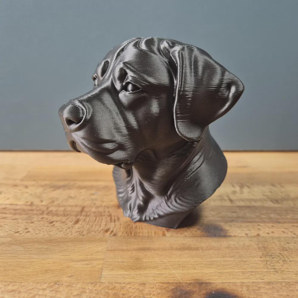 Großer Schweizer Sennenhund Büste – Realistic Greater Swiss Mountain Dog Bust | Handbemalt & 3D-Printed – Hochdetaillierte Skulptur Fehn-factory.de