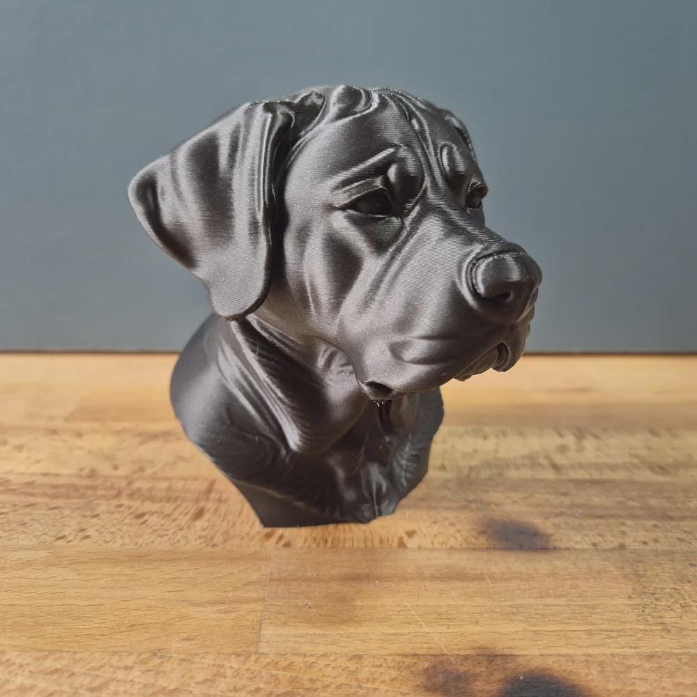 Großer Schweizer Sennenhund Büste – Realistic Greater Swiss Mountain Dog Bust | Handbemalt & 3D-Printed – Hochdetaillierte Skulptur Fehn-factory.de