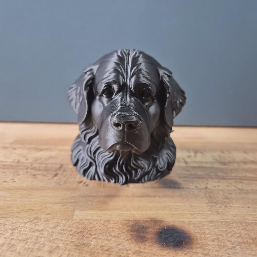 Neufundländer Büste – Realistic Newfoundland Dog Bust | Handbemalt & 3D-Printed – Hochdetaillierte Skulptur Fehn-factory.de