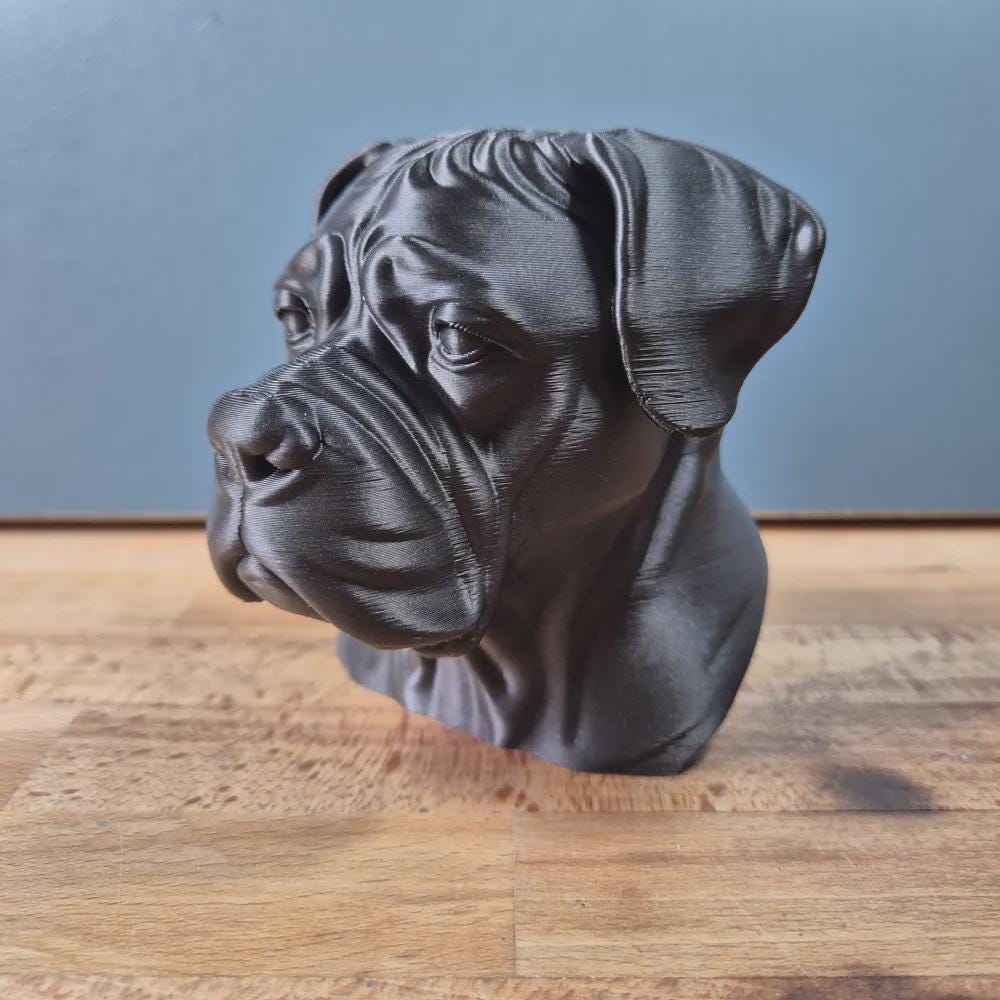 Cane Corso Büste – Realistic Cane Corso Dog Bust | Handbemalt & 3D-Printed – Hochdetaillierte Skulptur Fehn-factory.de