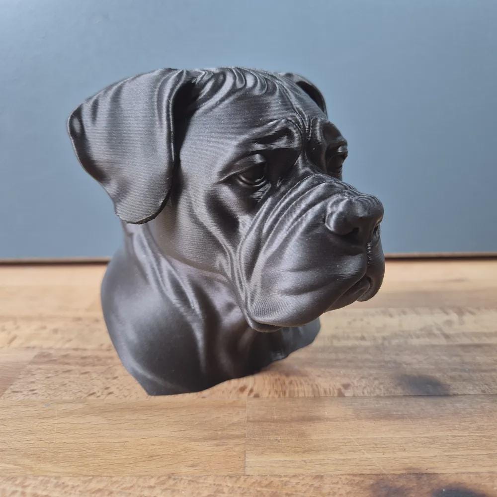 Cane Corso Büste – Realistic Cane Corso Dog Bust | Handbemalt & 3D-Printed – Hochdetaillierte Skulptur Fehn-factory.de