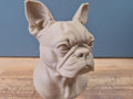 Boston Terrier Büste – Realistic Boston Terrier Dog Bust | Handbemalt & 3D-Printed – Hochdetaillierte Skulptur Fehn-factory.de