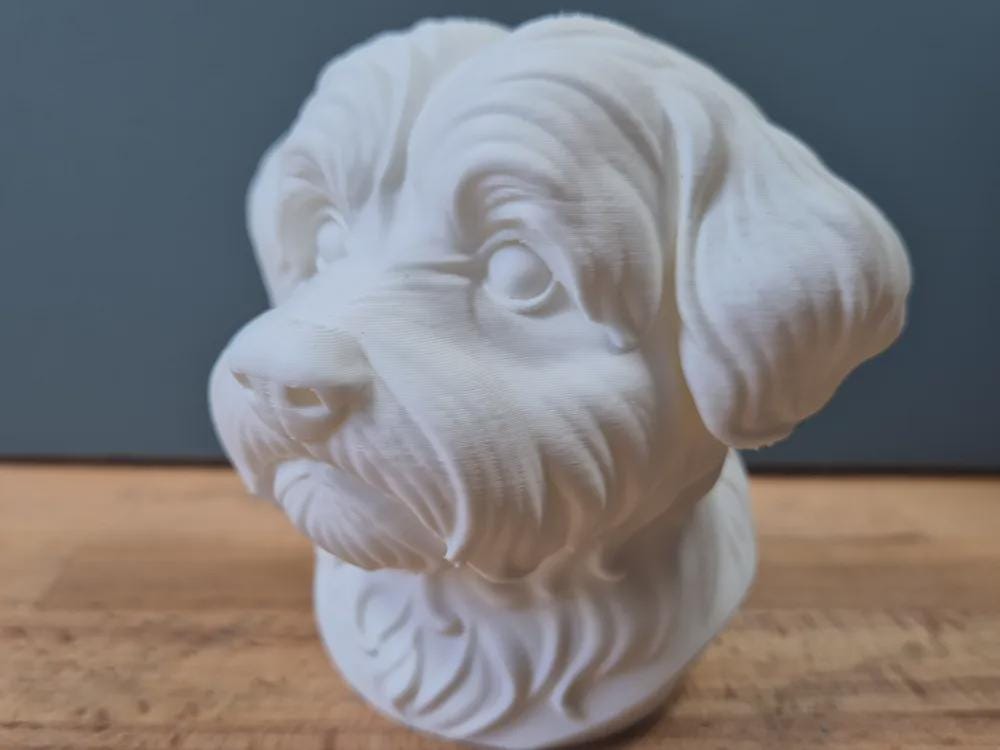 Malteser Büste – Realistic Maltese Dog Bust | Handbemalt & 3D-Printed – Hochdetaillierte Skulptur Fehn-factory.de