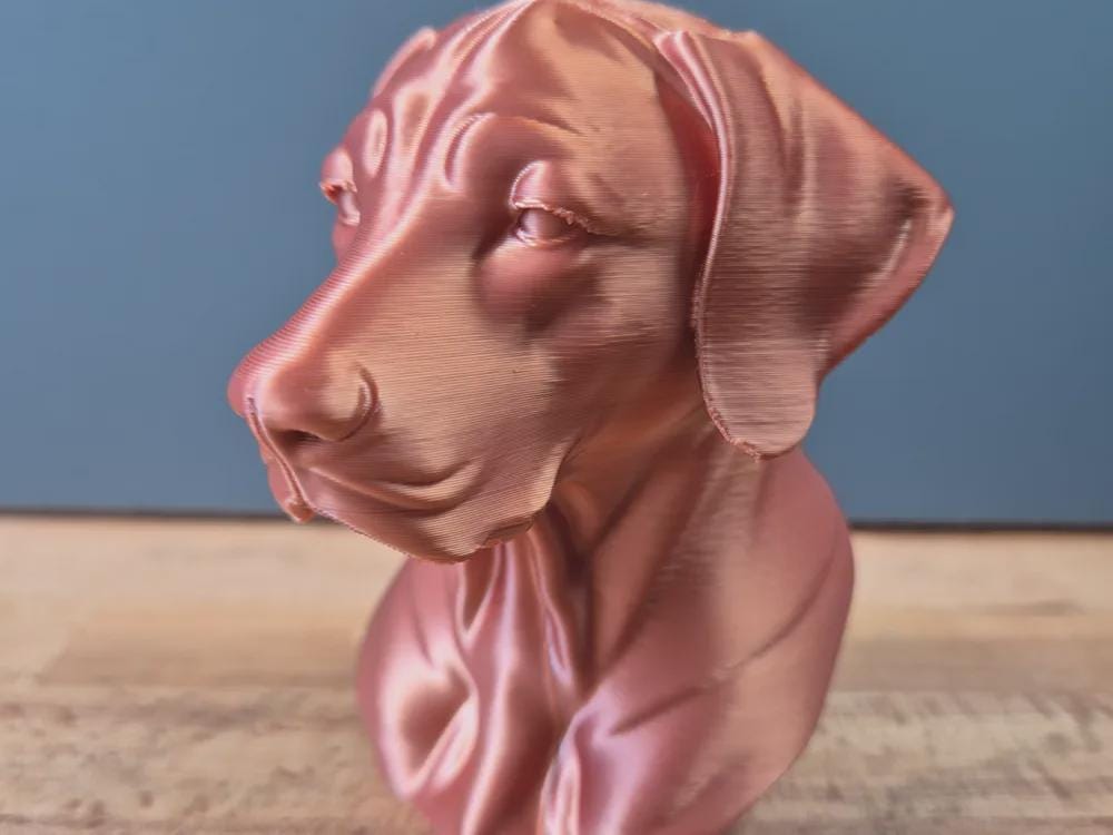 Rhodesian Ridgeback Büste – Realistic Rhodesian Ridgeback Dog Bust | Handbemalt & 3D-Printed – Hochdetaillierte Skulptur Fehn-factory.de