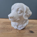 Berner Sennenhund Büste – Realistic Bernese Mountain Dog Bust | Handbemalt & 3D-Printed – Hochdetaillierte Skulptur Fehn-factory.de