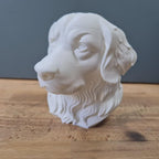 Berner Sennenhund Büste – Realistic Bernese Mountain Dog Bust | Handbemalt & 3D-Printed – Hochdetaillierte Skulptur Fehn-factory.de