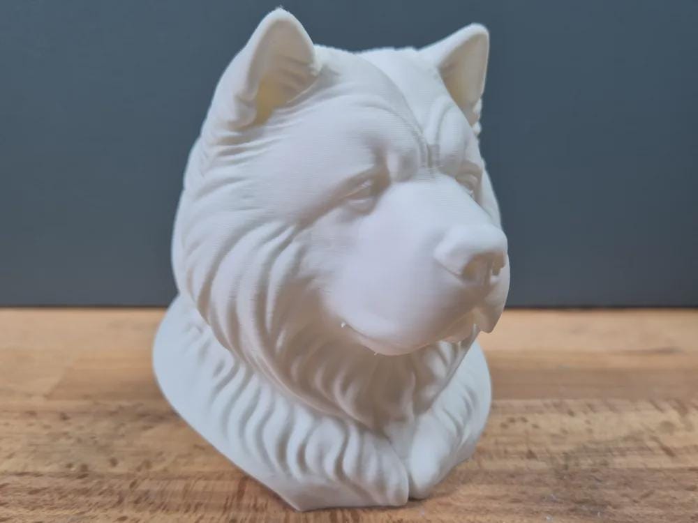 Chow-Chow Büste – Realistic Chow Chow Dog Bust | Handbemalt & 3D-Printed – Hochdetaillierte Skulptur Fehn-factory.de