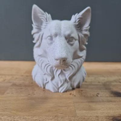 Australian Shepherd (spitze Ohren) Büste / Realistic Australian Shepherd with Pointy Ears Bust – Handbemalt & Detailliert Fehn-factory.de