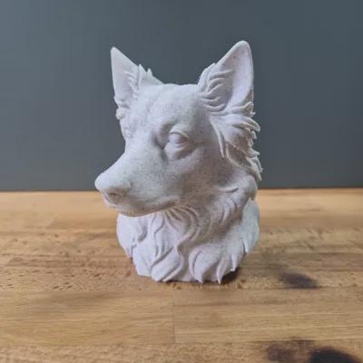 Australian Shepherd (spitze Ohren) Büste / Realistic Australian Shepherd with Pointy Ears Bust – Handbemalt & Detailliert Fehn-factory.de