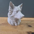 Australian Shepherd (spitze Ohren) Büste / Realistic Australian Shepherd with Pointy Ears Bust – Handbemalt & Detailliert Fehn-factory.de