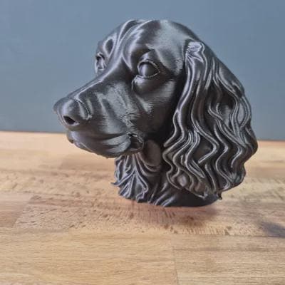 Springer Spaniel Büste / Realistic Springer Spaniel Bust – Handbemalt & Detailliert Fehn-factory.de