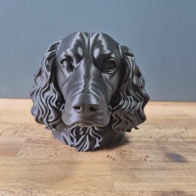 Springer Spaniel Büste / Realistic Springer Spaniel Bust – Handbemalt & Detailliert Fehn-factory.de