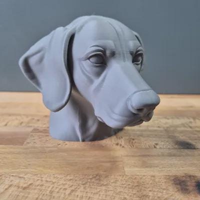 German Shorthaired Pointer Büste / Realistic German Shorthaired Pointer Bust – Handbemalt & Detailliert Fehn-factory.de