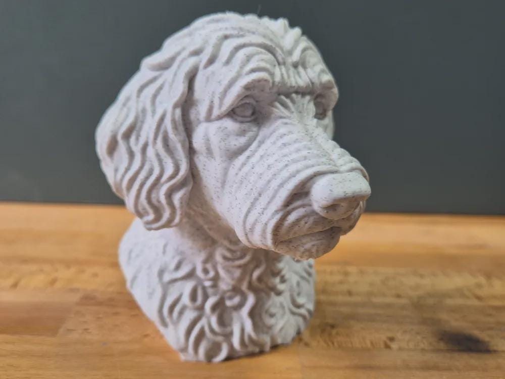 Labradoodle Büste / Realistic Labradoodle Bust – Handbemalt & Detailliert Fehn-factory.de