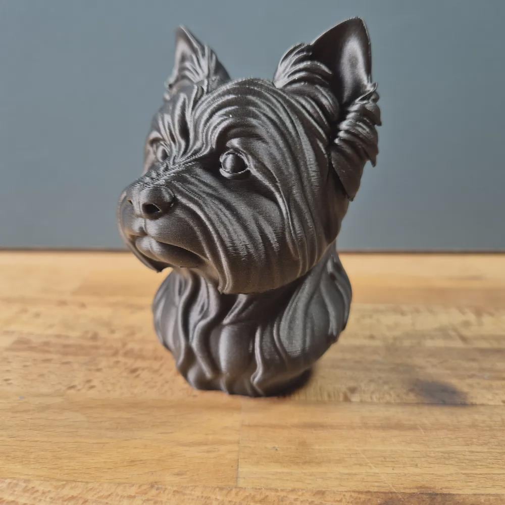 Yorkshire Terrier Büste / Realistic Yorkshire Terrier Bust – Handbemalt & Detailliert Fehn-factory.de