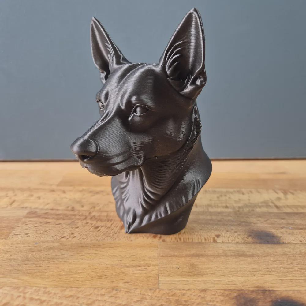 Australian Kelpie Büste / Realistic Australian Kelpie Bust – Handbemalt & Detailliert Fehn-factory.de