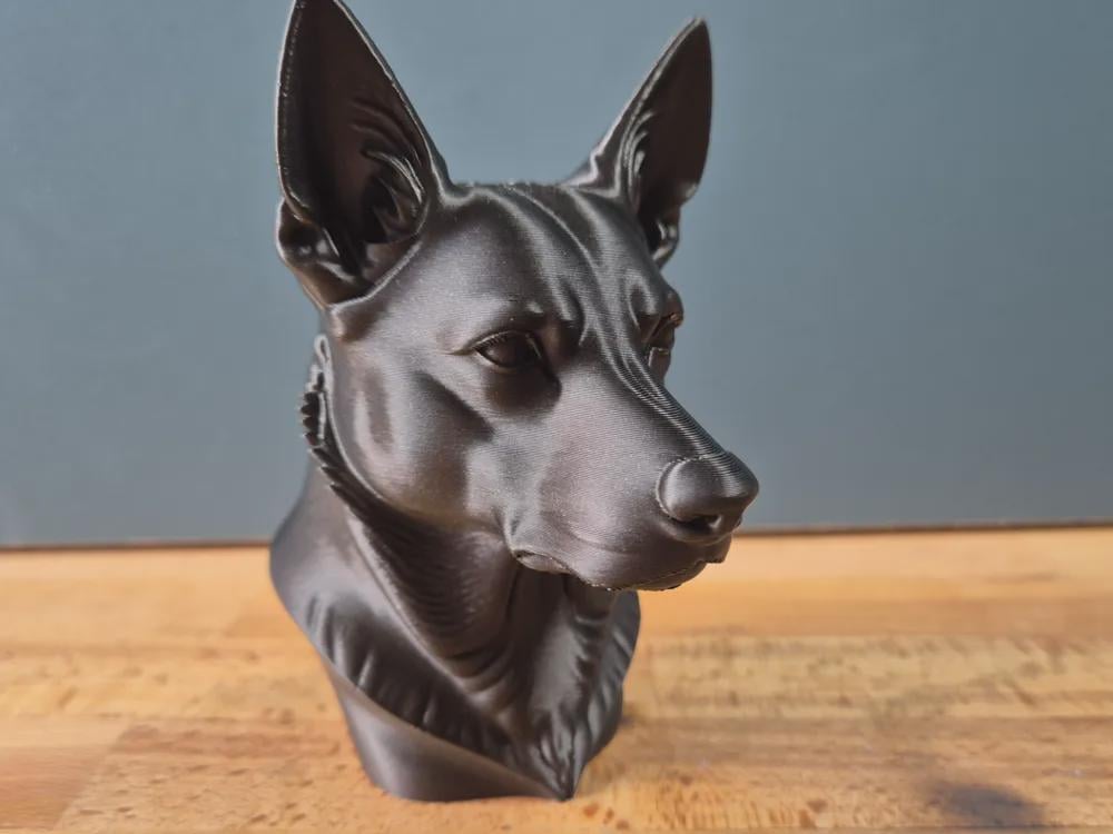 Australian Kelpie Büste / Realistic Australian Kelpie Bust – Handbemalt & Detailliert Fehn-factory.de