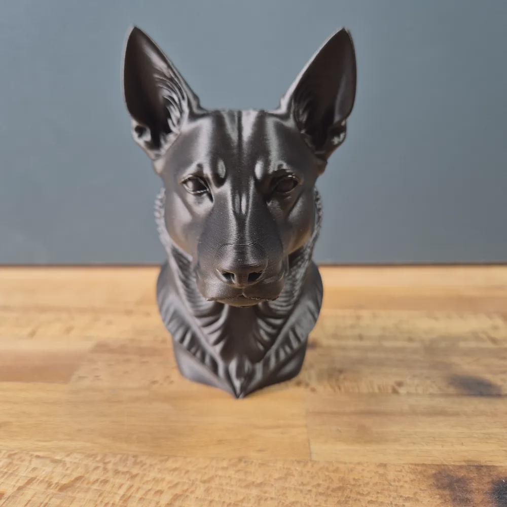 Australian Kelpie Büste / Realistic Australian Kelpie Bust – Handbemalt & Detailliert Fehn-factory.de