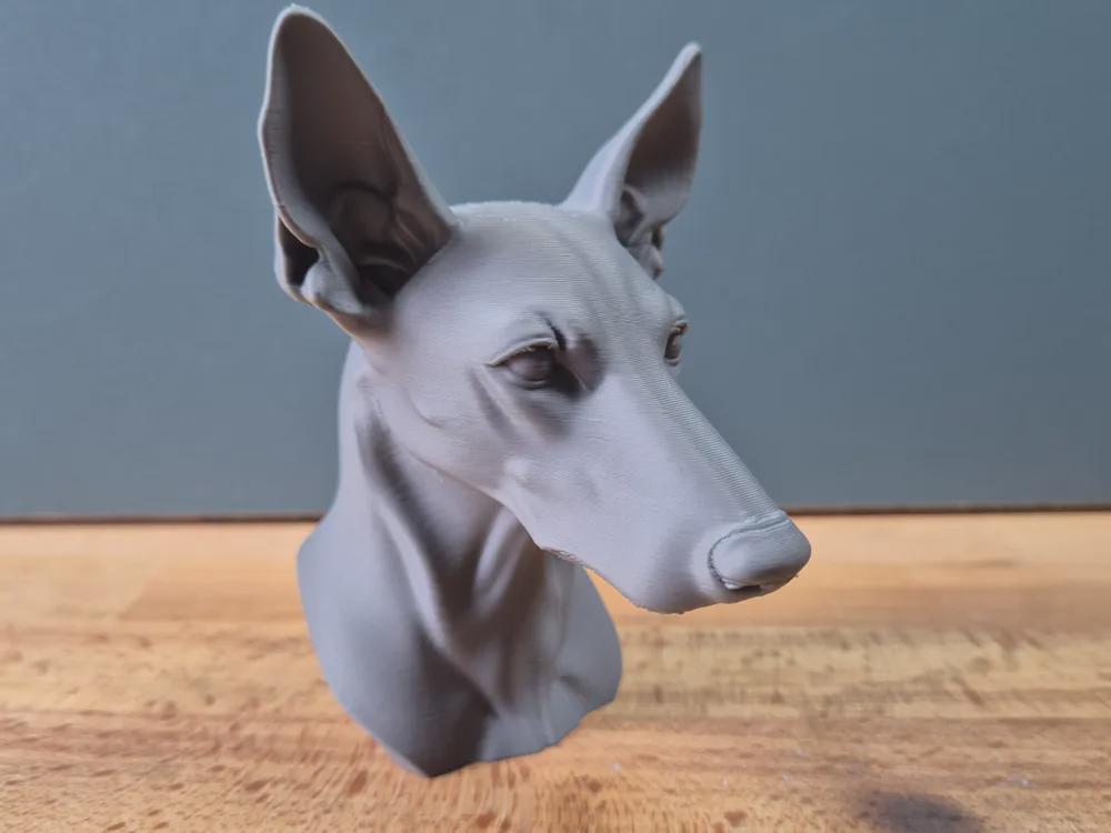 Podenco Büste / Realistic Podenco Bust – Handbemalt & Detailliert Fehn-factory.de