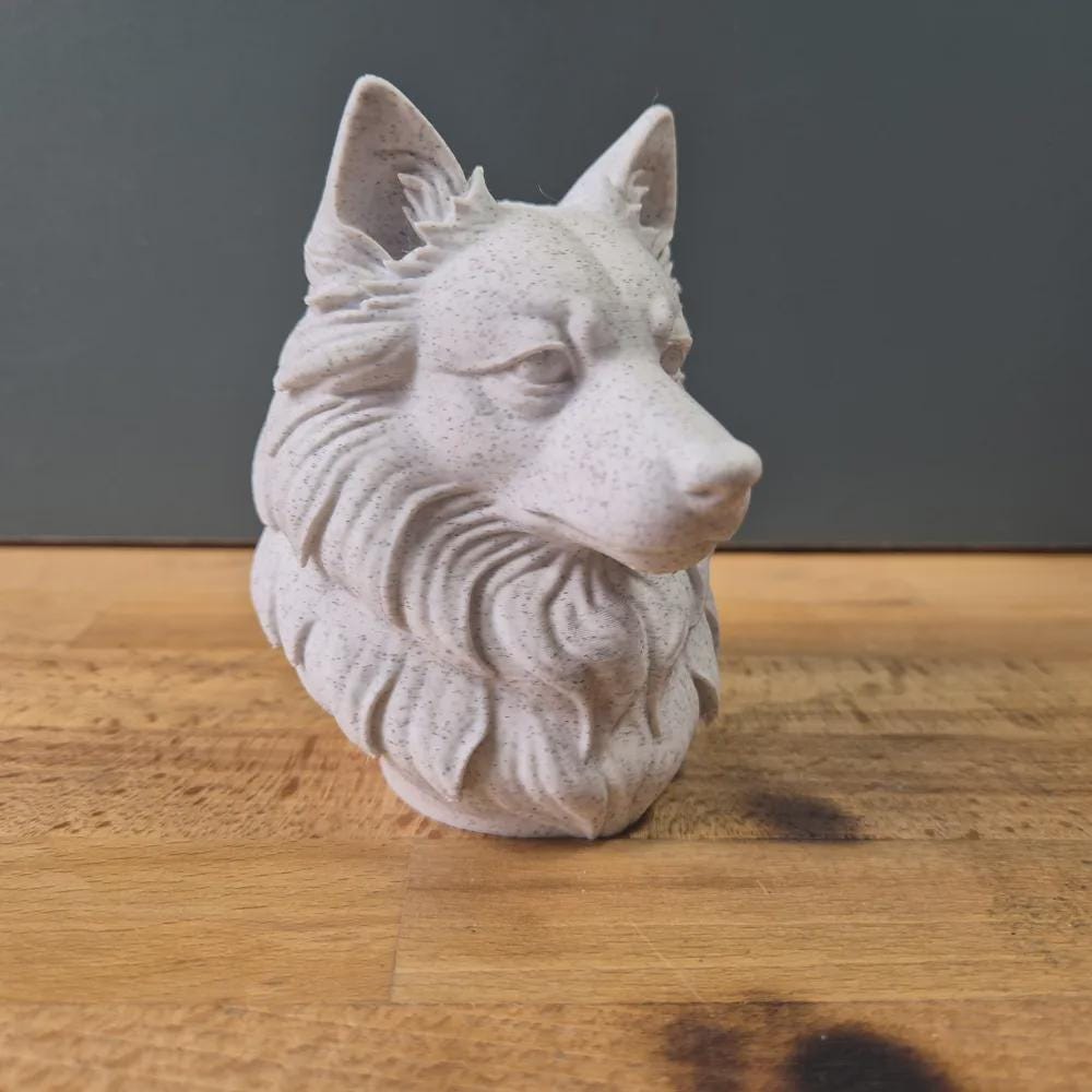 Japanese Spitz Büste / Realistic Japanese Spitz Bust – Handbemalt & Detailliert Fehn-factory.de