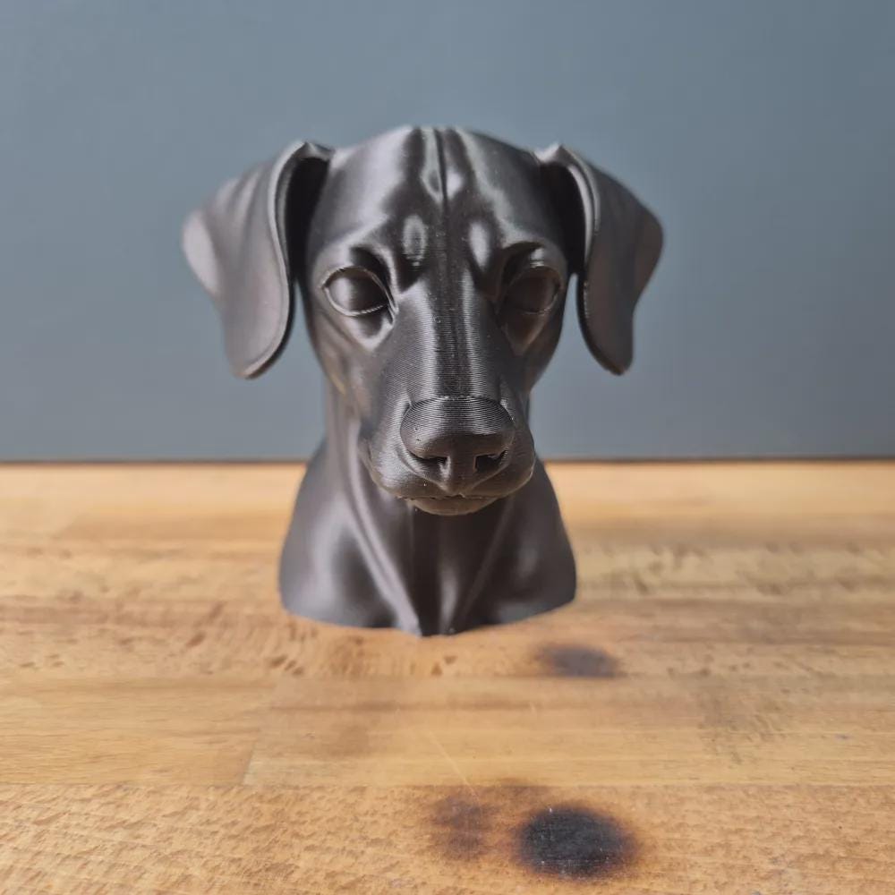 Miniature Pinscher mit Schlappohren Büste / Realistic Miniature Pinscher with Floppy Ears Bust – Handbemalt & Detailliert Fehn-factory.de