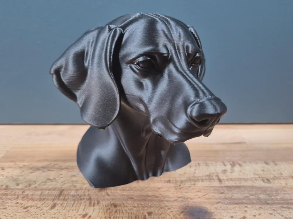 Weimaraner Büste / Realistic Weimaraner Bust – Handbemalt & Detailliert Fehn-factory.de