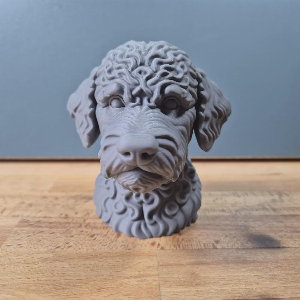 Lagotto Romagnolo Büste / Realistic Lagotto Romagnolo Bust – Handbemalt & Detailliert Fehn-factory.de