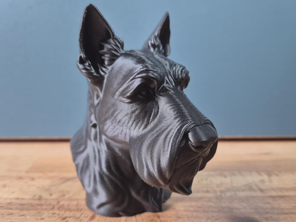 Scottish Terrier Büste / Realistic Scottish Terrier Bust – Handbemalt & Detailliert Fehn-factory.de