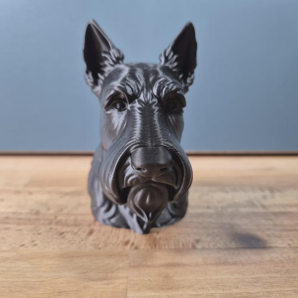 Scottish Terrier Büste / Realistic Scottish Terrier Bust – Handbemalt & Detailliert Fehn-factory.de