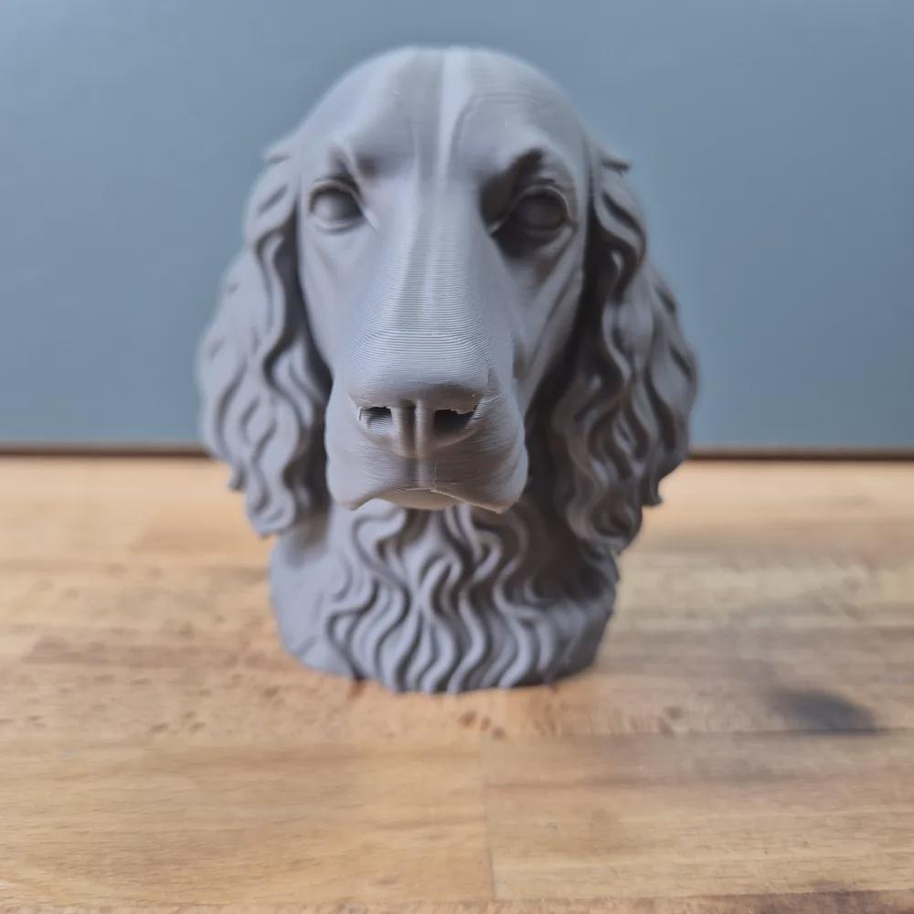 Irish Setter Büste / Realistic Irish Setter Bust – Handbemalt & Detailliert Fehn-factory.de