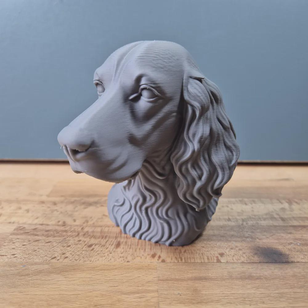 Irish Setter Büste / Realistic Irish Setter Bust – Handbemalt & Detailliert Fehn-factory.de