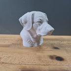 Entlebucher Sennenhund Büste / Realistic Entlebucher Mountain Dog Bust – Handbemalt & Detailliert Fehn-factory.de