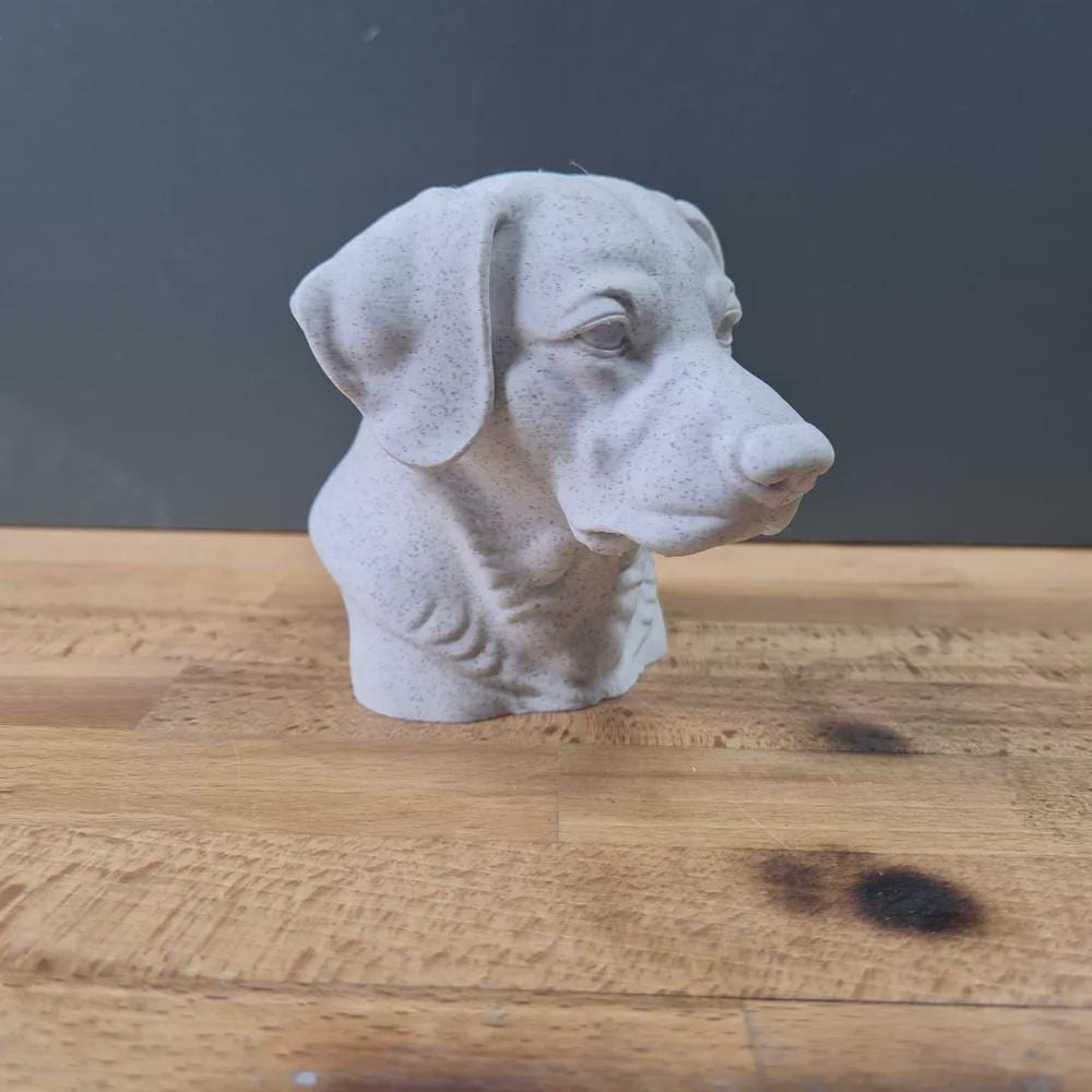 Entlebucher Sennenhund Büste / Realistic Entlebucher Mountain Dog Bust – Handbemalt & Detailliert Fehn-factory.de