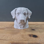 Entlebucher Sennenhund Büste / Realistic Entlebucher Mountain Dog Bust – Handbemalt & Detailliert Fehn-factory.de