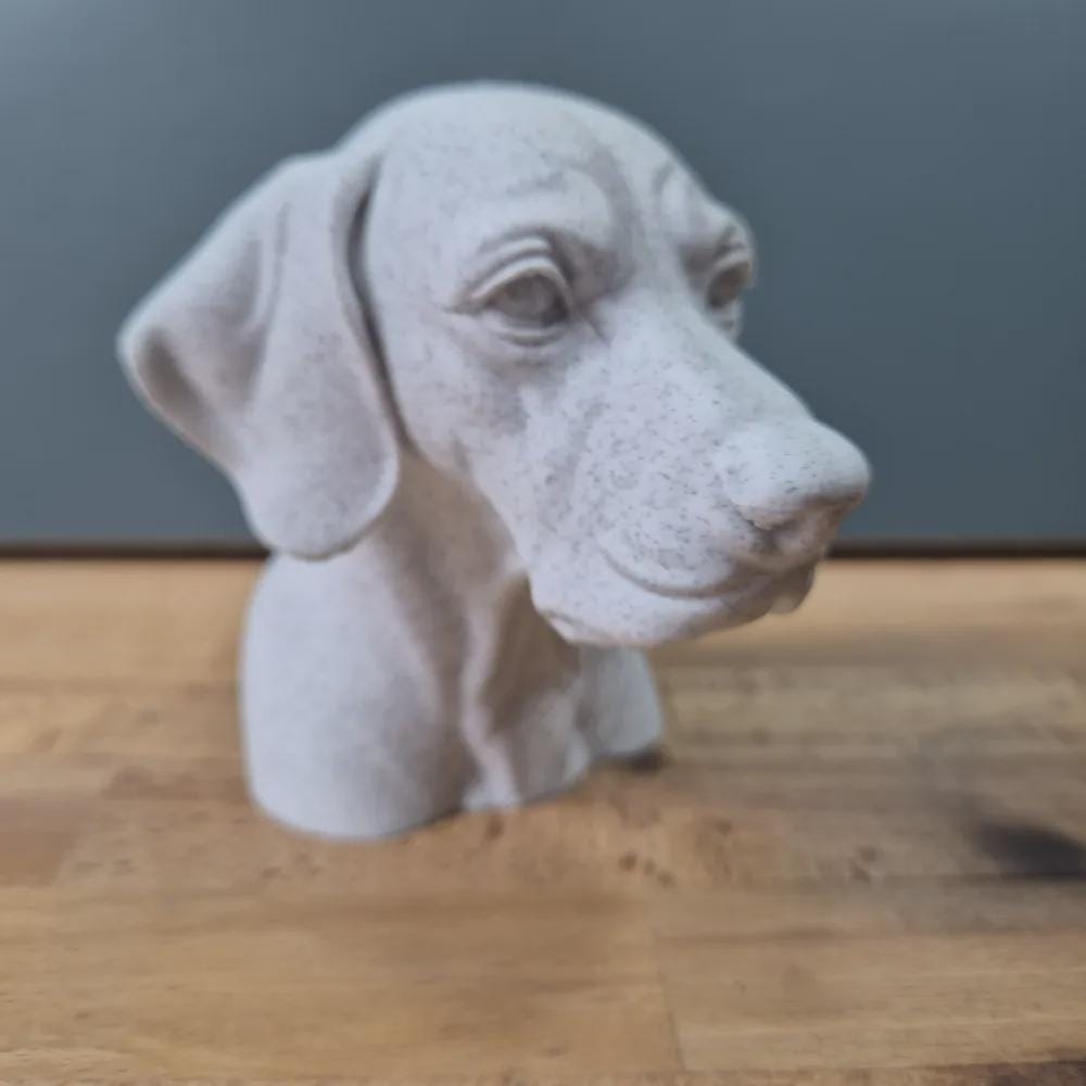 Englischer Vorstehhund Büste / Realistic English Pointer Bust – Handbemalt & Detailliert Fehn-factory.de