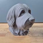 Bearded Collie Büste / Realistic Bearded Collie Bust – Handbemalt & Detailliert Fehn-factory.de
