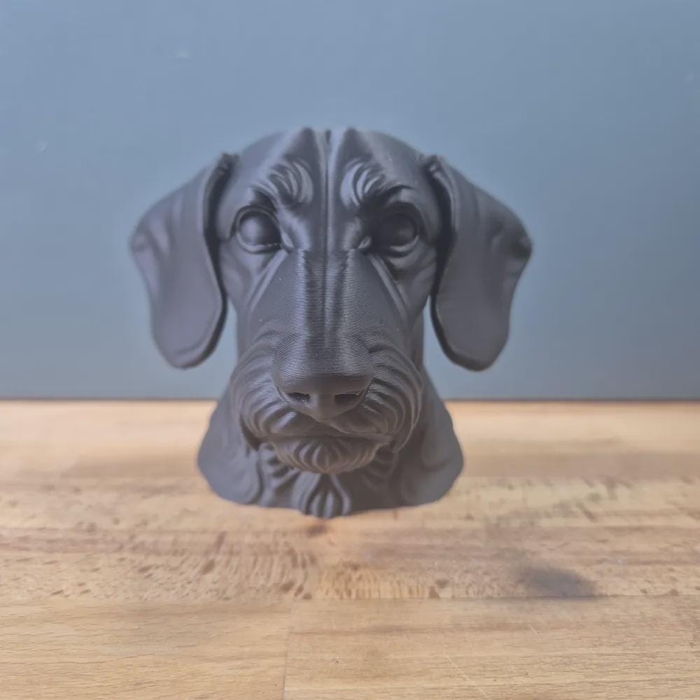 Drahthaar-Dackel-Büste / Realistic Wire-Haired Dachshund Bust – Handbemalt & Detailliert Fehn-factory.de