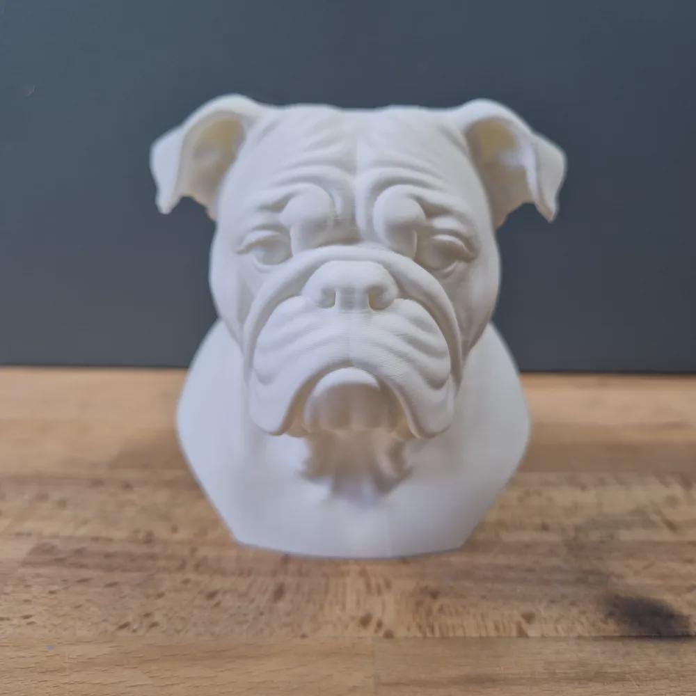 Englische Bulldoggen Büste / Realistic English Bulldog Bust – Handbemalt & Detailliert Fehn-factory.de